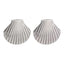 Hazel | Seashell Studs