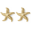Briana | Curved Starfish Earrings