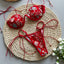 Nova | Embroidery Split Bikini Set